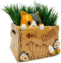 Load image into Gallery viewer, Cat in the Box Planter
