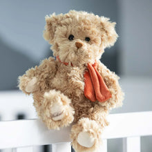 Load image into Gallery viewer, Clever Anton Bear
