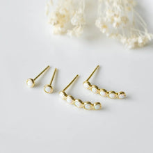 Load image into Gallery viewer, Earrings-Duet Set -row
