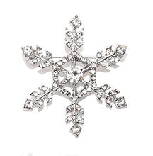 Load image into Gallery viewer, Brooch-Shagwear
